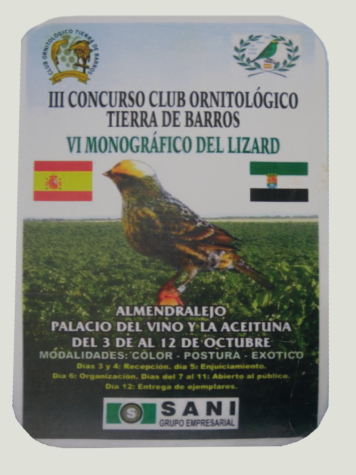 Carteles de los primeros concursos sobre el Lizard.