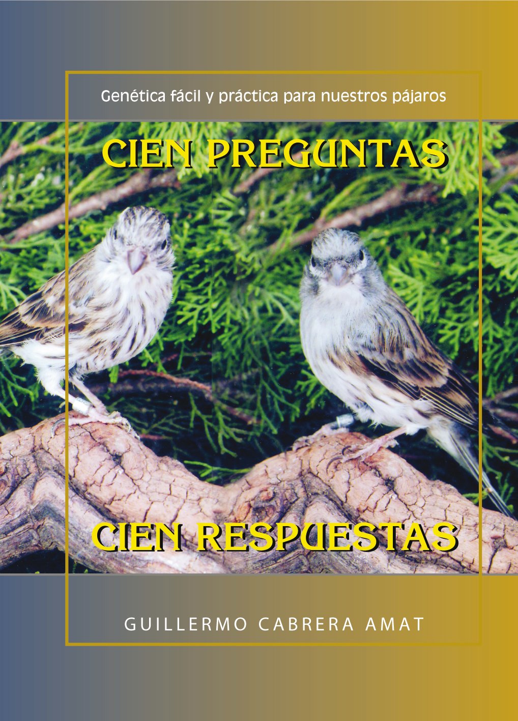 Cien preguntas, cien respuestas, de Guillermo Cabrera Amat