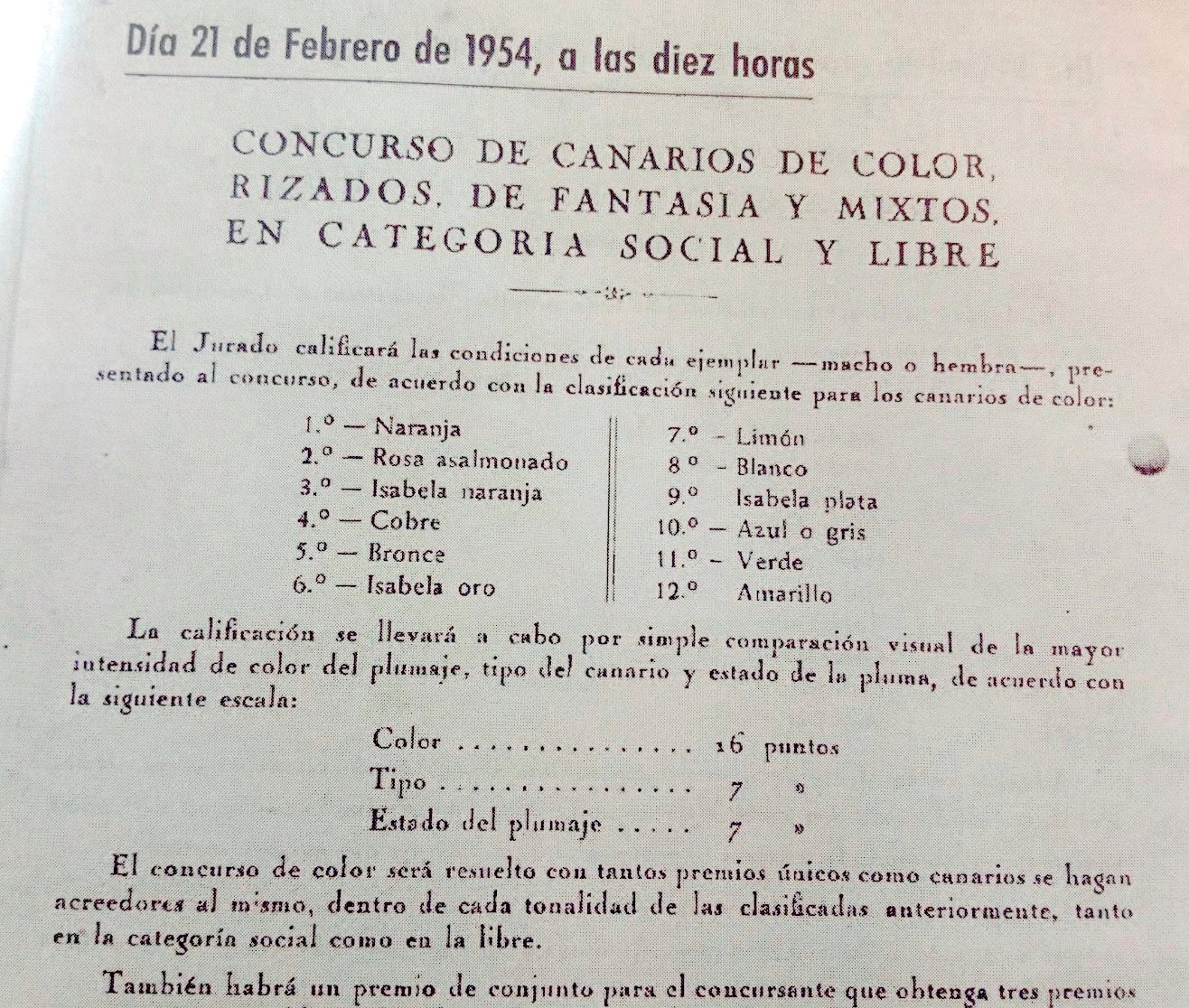 Arriba. Concurso de la ACE. 1954. Celebrado en 1954 y donde ya aparece publicado un sistema de puntuación para valorar la calidad de los ejemplares.