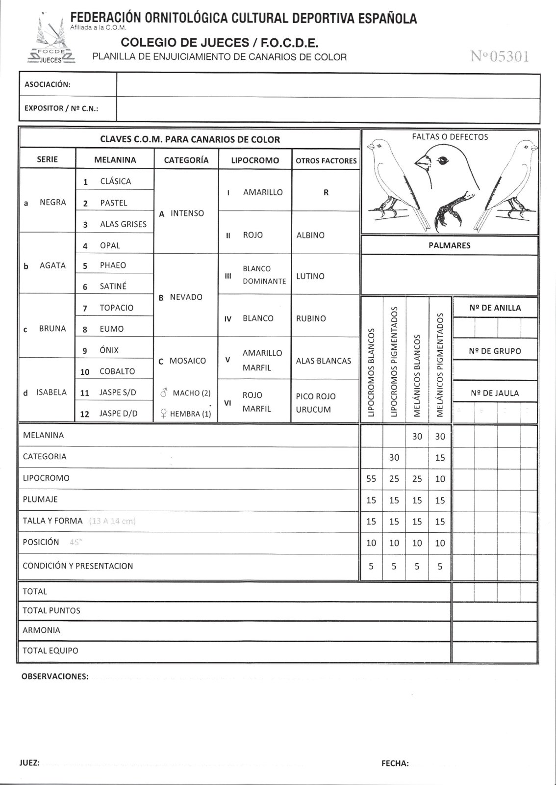 Planilla 5. Planilla actual del CJ/FOCDE, posterior a la publicación de la primera parte de este artículo. En la posterior impresión aparecerá el canario mogno.