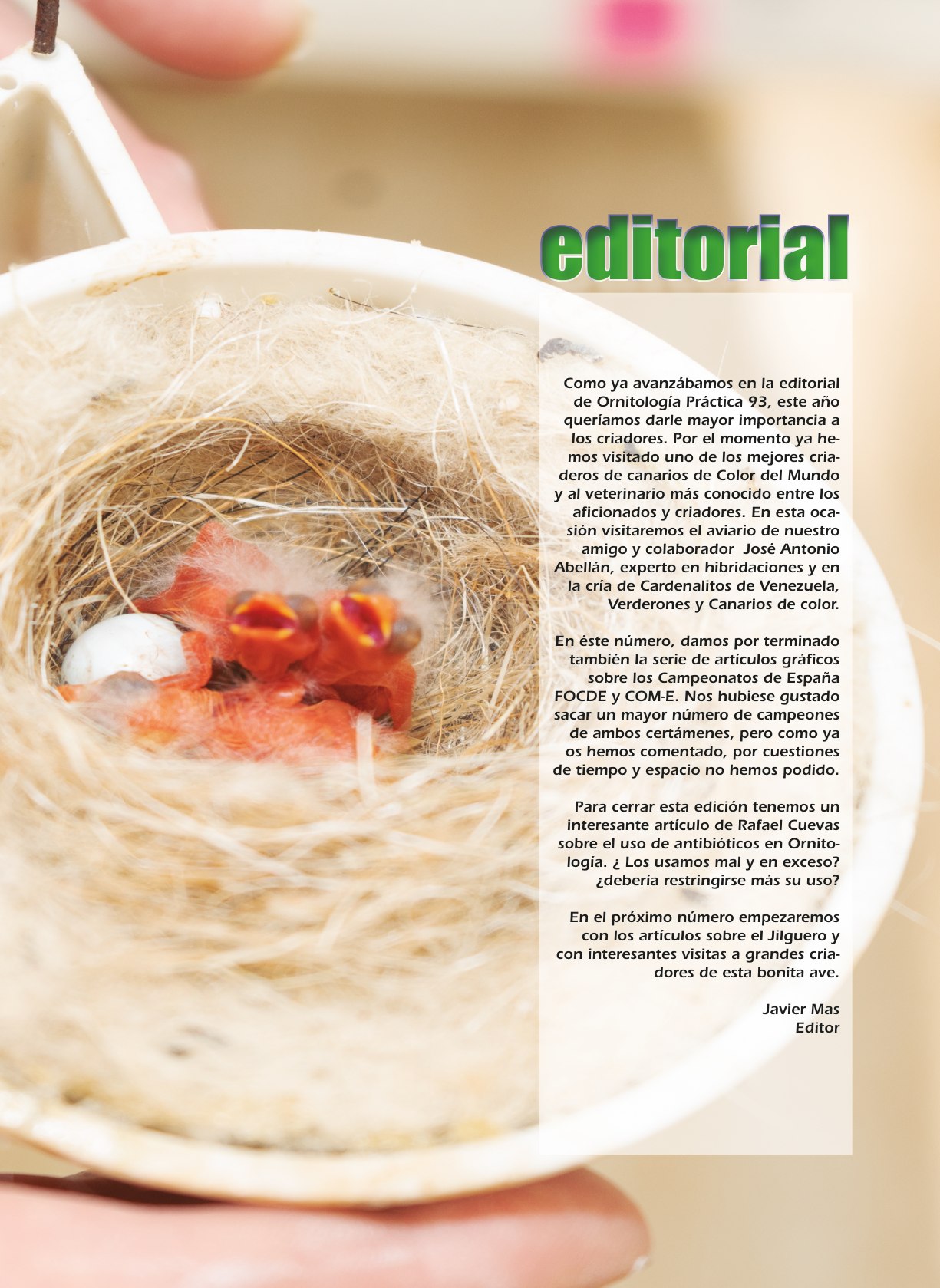 Editorial del número 95