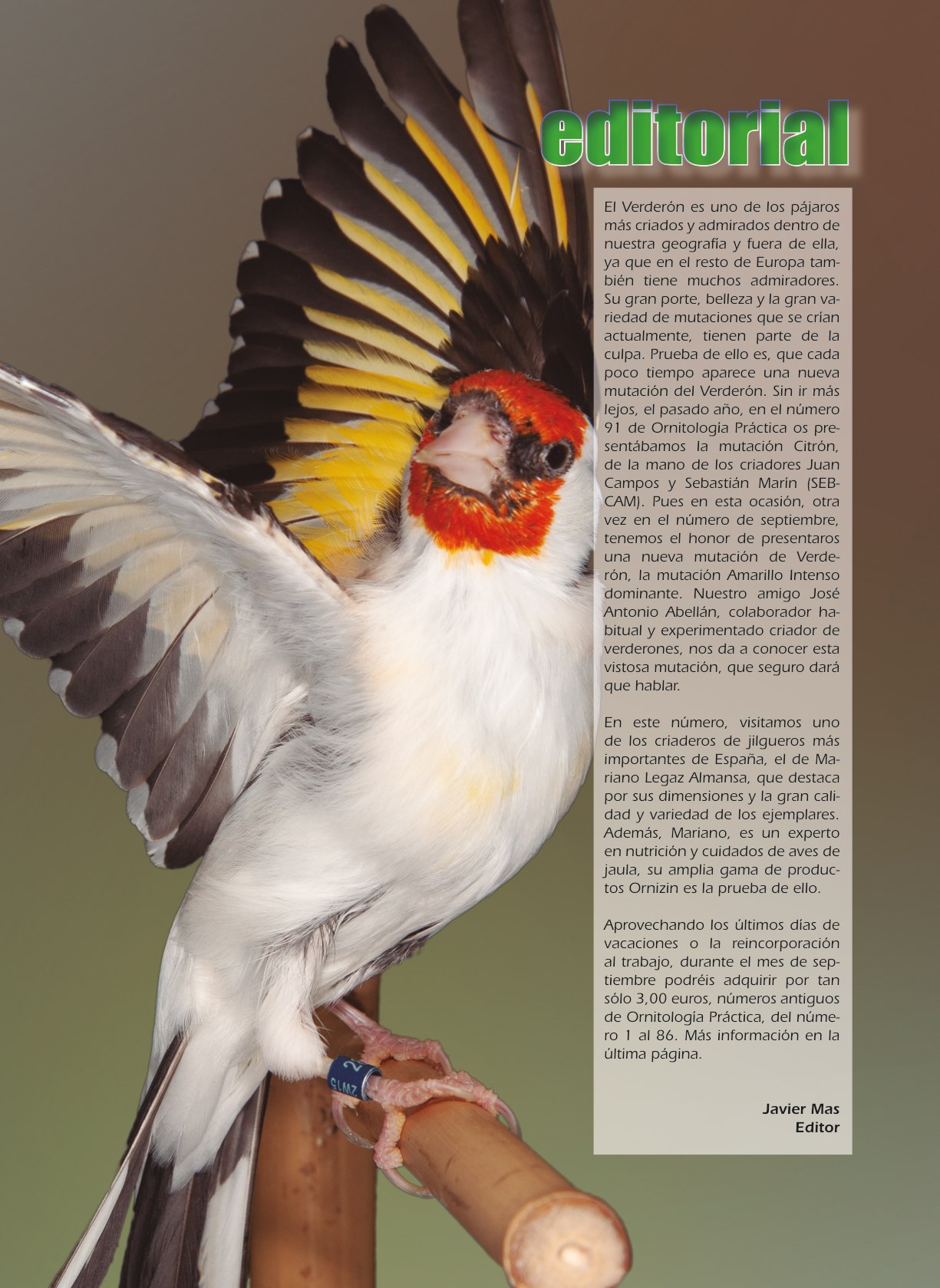 Editorial del número 97