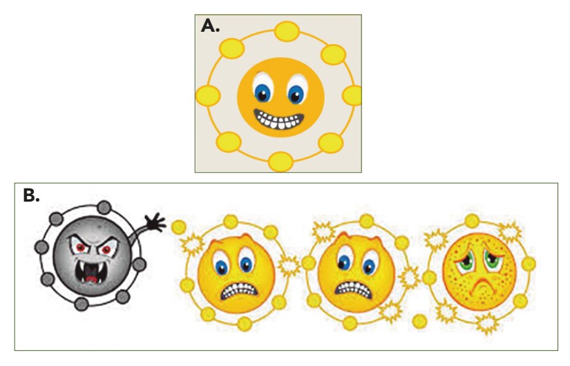 Figura 4: Esquema simplificado del mecanismo molecular relativo a la oxidación de átomos por parte de moléculas ROS y RNS. a) las bolitas amarillas representan los electrones de los átomos. En condiciones óptimas, todos los elementos químicos que forman las moléculas (“ladrillos” que forman las células y tejidos) tienden a tener 8 electrones (todo elemento químico está formado por electrones protones y neutrones). b) Las moléculas ROS y RNS (representadas por el muñequito gris) eliminan electrones a los átomos y en consecuencia los átomos se oxidan. Esta reacción es perjudicial para las moléculas y en consecuencia para las células y tejidos. Las moléculas antioxidantes se encargan de donar electrones a esos átomos que han perdido algún electrón, reestableciendo así el equilibro óptimo en el estado redox de las células y los tejidos. A. B.