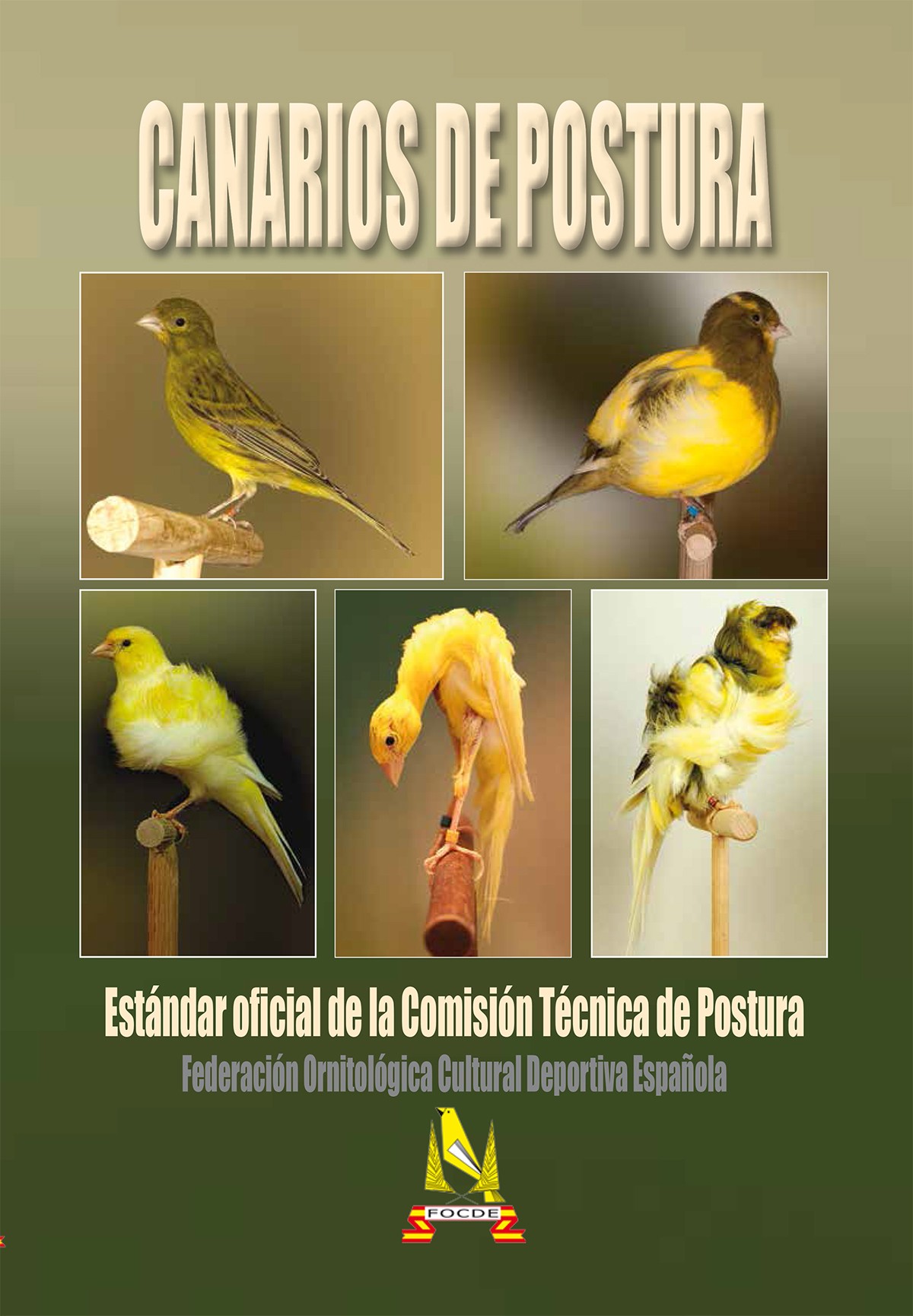Portada de Estándar Oficial de Canarios Postura FOCDE