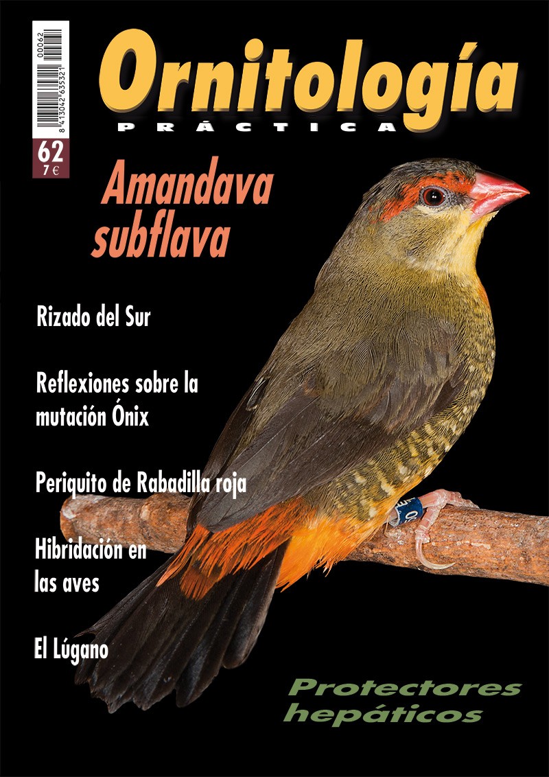 Portada de Ornitología Práctica nº 62