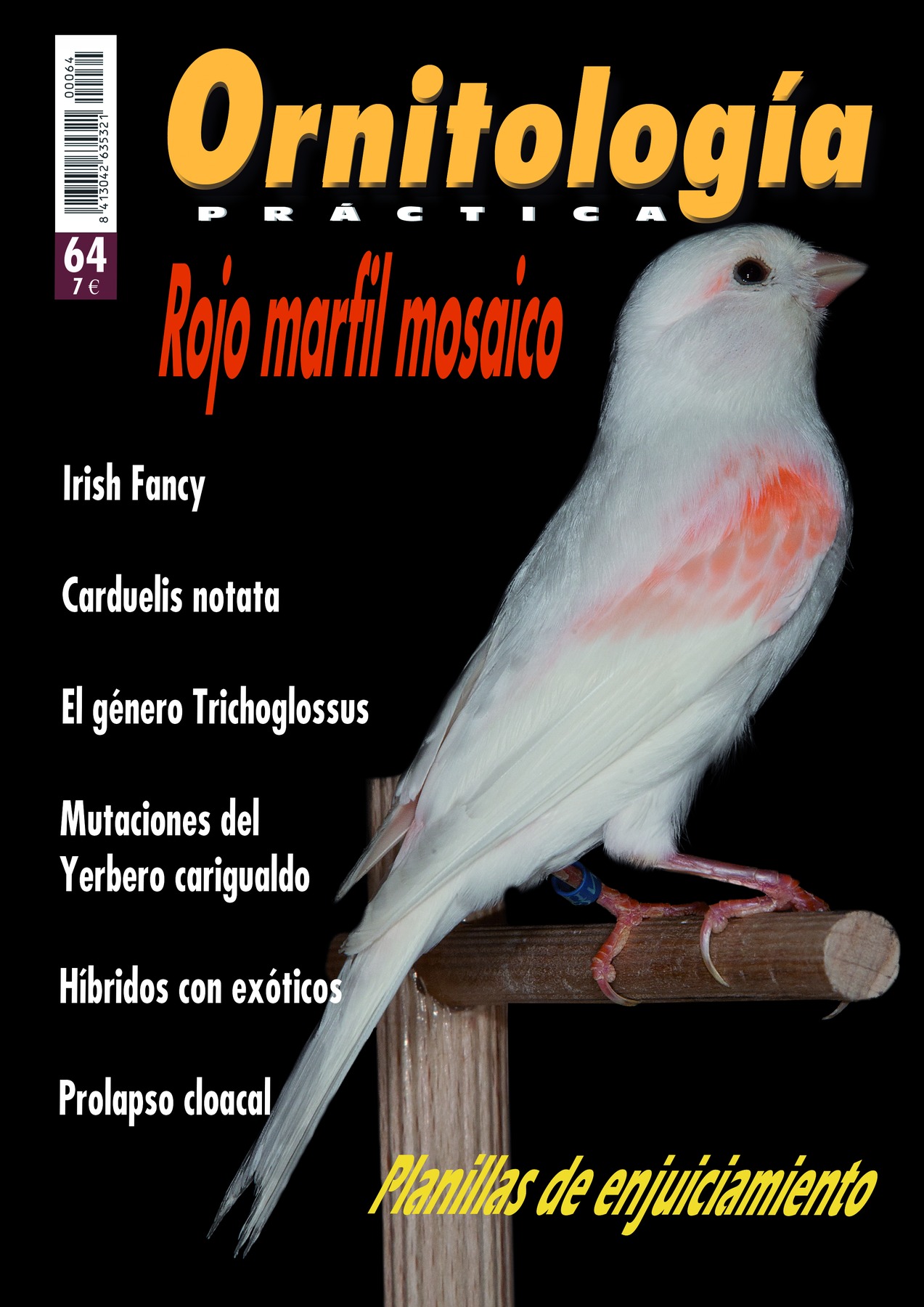 Portada de Ornitología Práctica nº 64