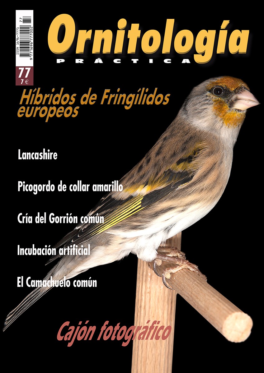 Portada de Ornitología Práctica nº 77