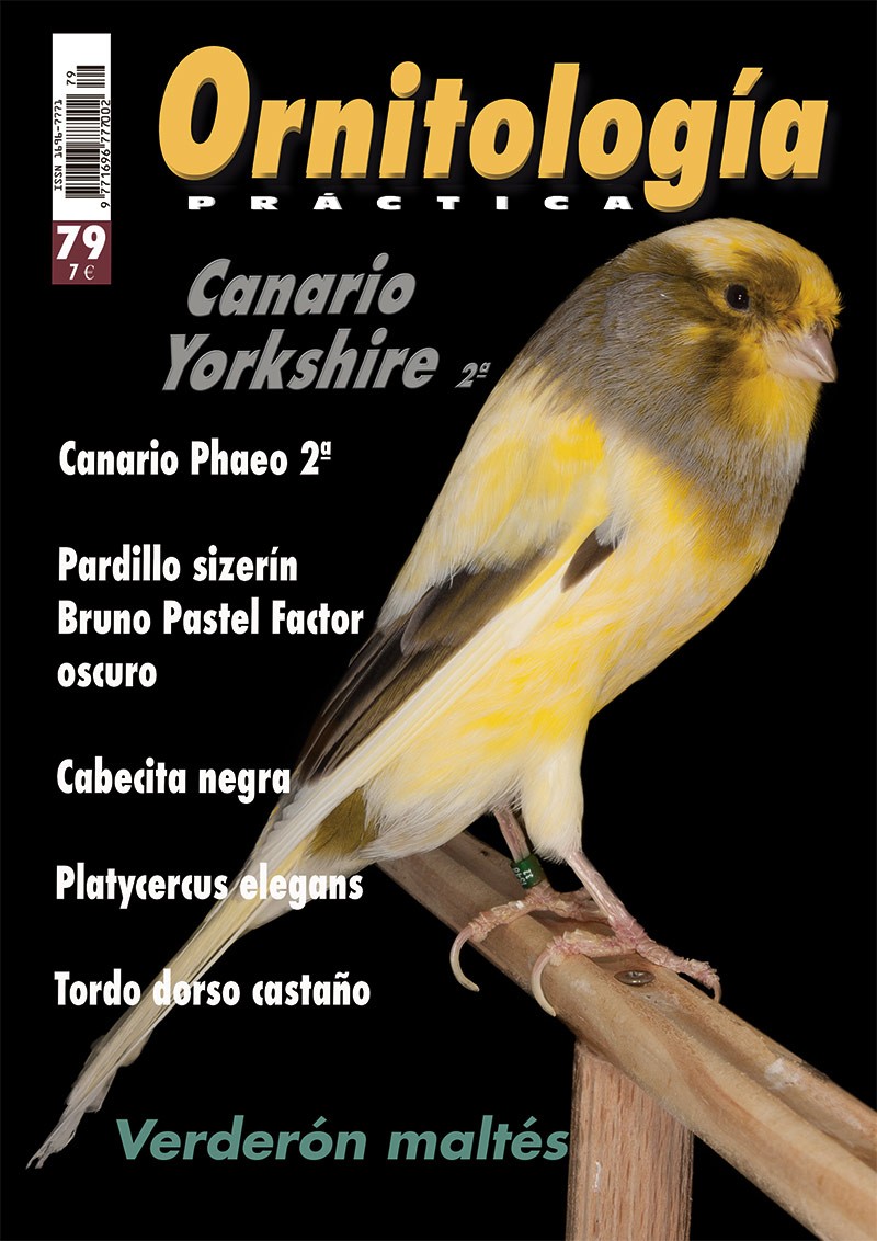 Portada de Ornitología Práctica nº 79