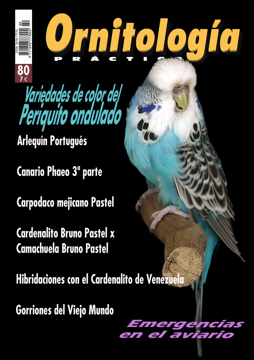 Portada de Ornitología Práctica nº 80