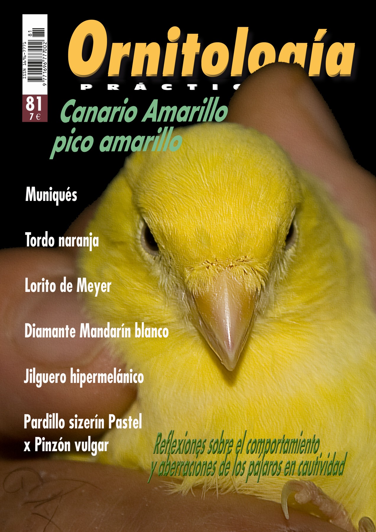 Portada de Ornitología Práctica nº 81