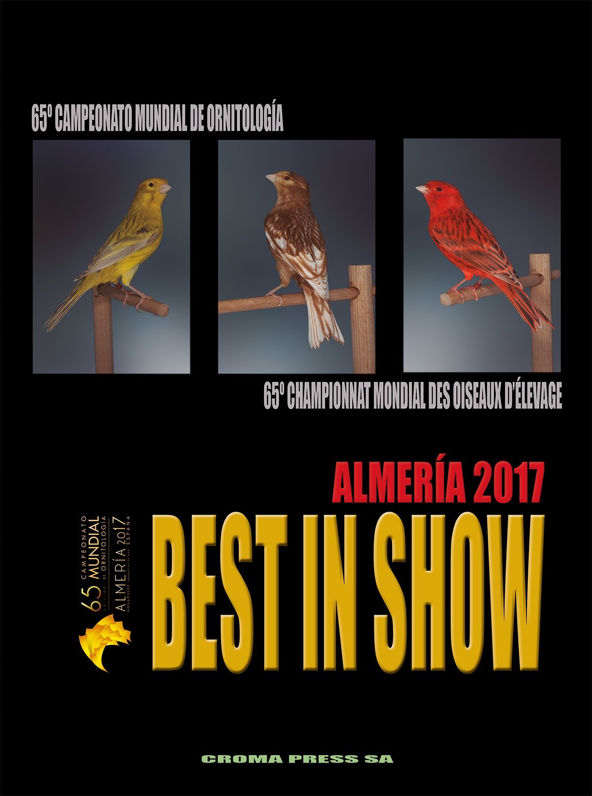 Portada de Best in Show Almería 2017