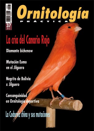 Portada de Ornitología Práctica nº 37