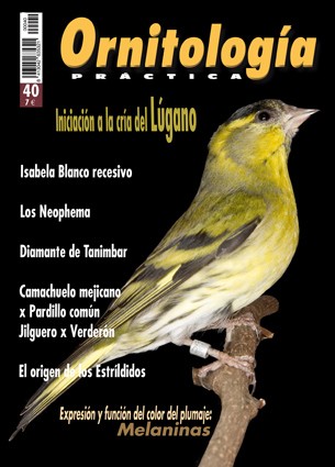 Portada de Ornitología Práctica nº 40