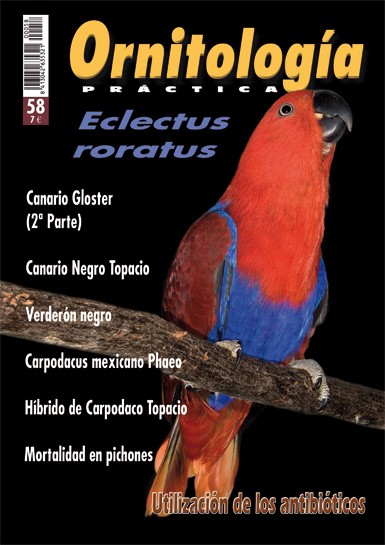 Portada de Ornitología Práctica nº 58