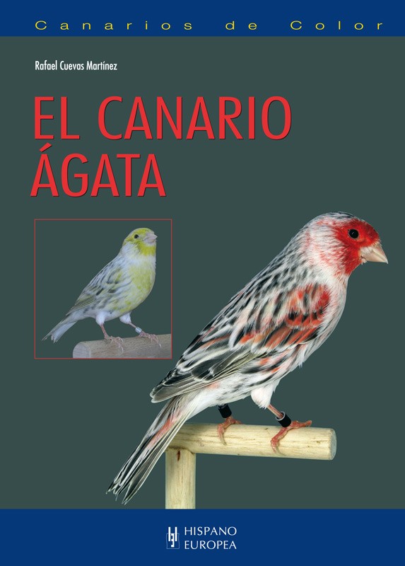 Portada de El Canario Ágata