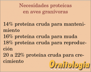 Necesidades proteicas en aves granívoras - www.ornitologiapractica.com
